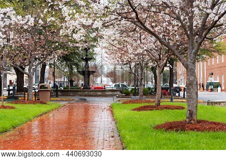 Macon, Georgia, USA downtown square in spring season with the fountain.