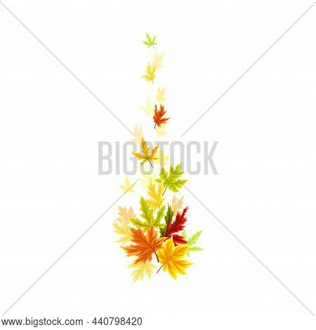 Maple Palmate Leaves Of Bright Autumn Colour Arranged In Decorative Border Line Vector Illustration