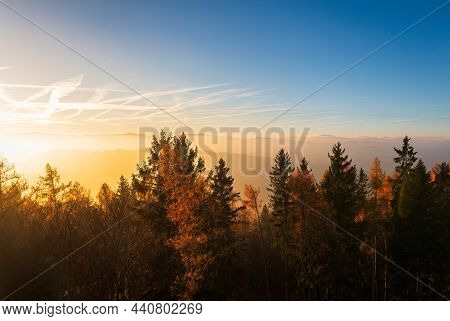 Autumn Czech Landscape With Misty Fog And Trees Silhouette At Morning Sunrise And Blue Sky. View Fro