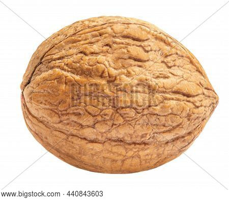 Walnut Isolated. Walnut Kernel Nut  On White Background. Top View. Flat Lay