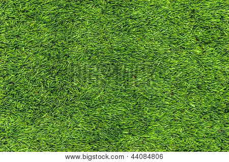 Gras Textur