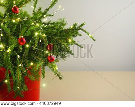 Red Balls, Lites, Festive Decor, Isolated Fir, Pine Branches Of Christmas Traditional Tree In Red Bu