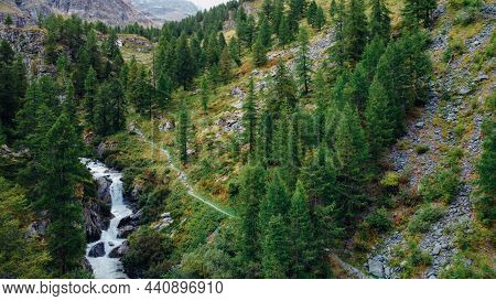 Mountain Landscape With Green Coniferous Forest And River In The Italian Alps.