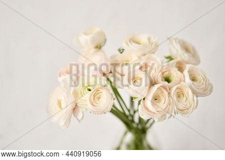 The Background Of Ranunculus Colors Is Gently Pink. A Riotous Peony-shaped Rose Bouquet