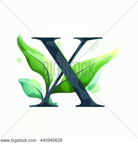 X Letter Logo With Green Leaves In Clear Vector Watercolor Style. Serif Sans Font For Luxury Emblem,