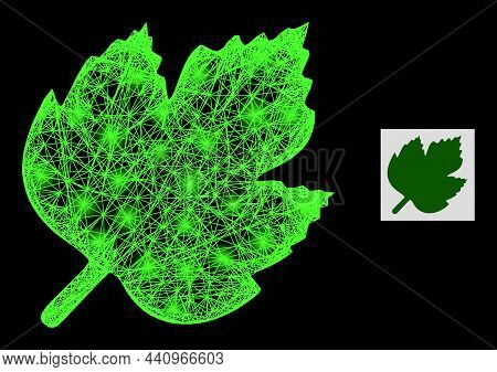 Majestic Network Grape Leaf With Light Spots On A Black Background. Light Vector Mesh Is Based On Gr