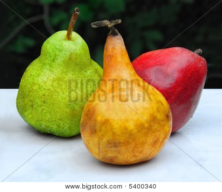 3 Peren
