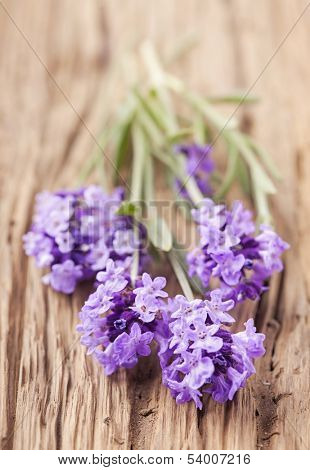 Lavender flowers on a wooden background