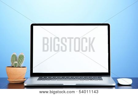 Laptop and cactus in flowerpot on wooden table on blue background
