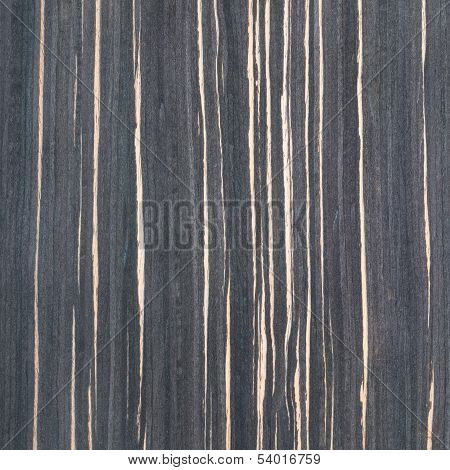 Ebony Wood Texture