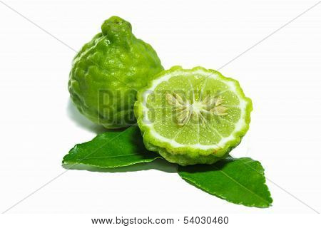 Bergamot