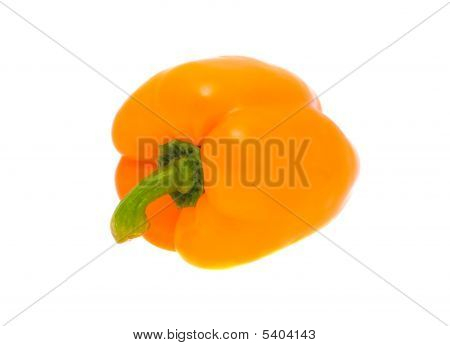 Édes paprika