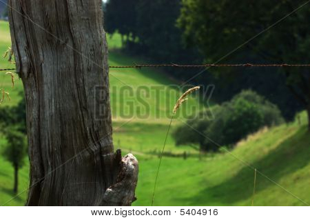 Fence