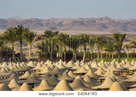 Desert In Egypt In Marsa Alam