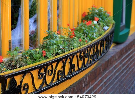 Bright yellow window and flowers