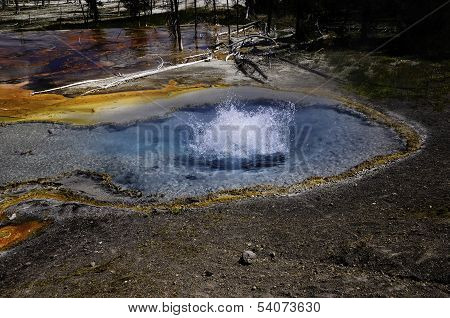 Firehole Spring Yellowstone National Park