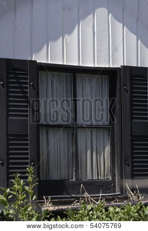 Window
