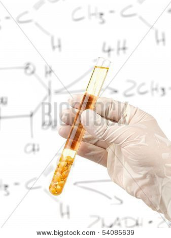 Biofuel Research