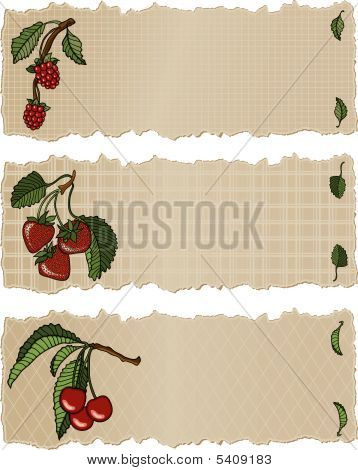 Frutta banner Rsc