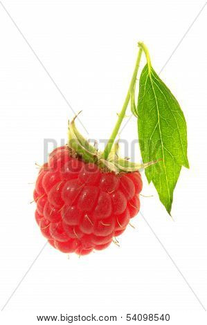 Raspberry