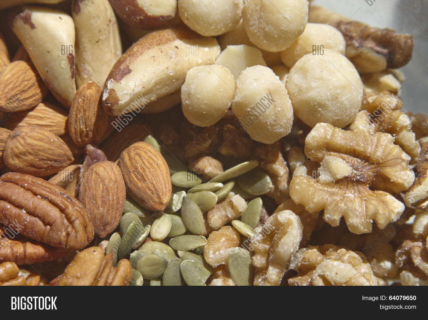 Raw Nuts Seeds Image & Photo (Free Trial) Bigstock