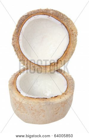 Young Coconut