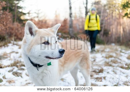 Woman Hiking In Winter Forest With Dog