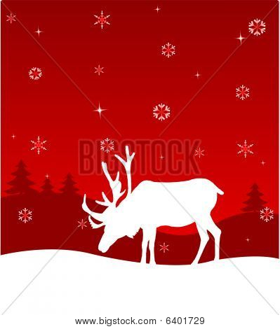 Winter deer
