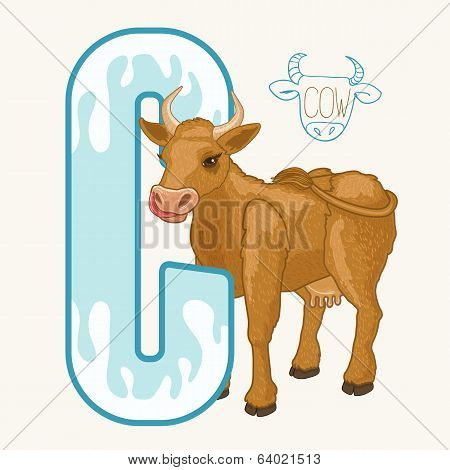 Letter C Cow
