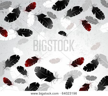 Light background with feathers