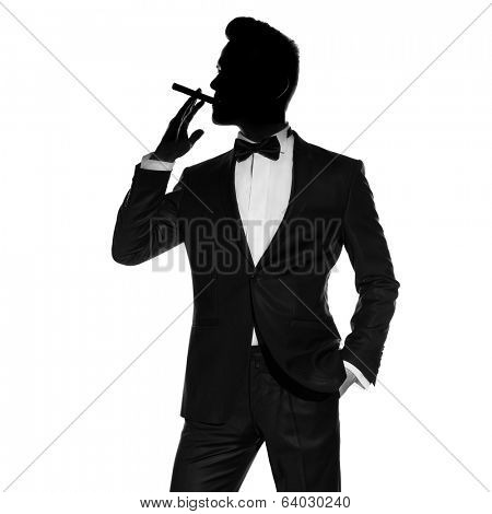 Concept photo of handsome stylish man with cigar