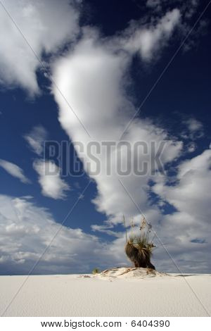 White Sands New Mexico