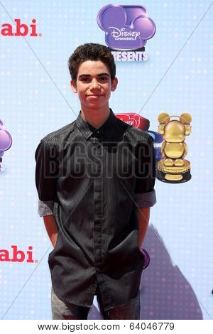LOS ANGELES - APR 26:  Cameron Boyce at the 2014 Radio Disney Music Awards at Nokia Theater on April 26, 2014 in Los Angeles, CA
