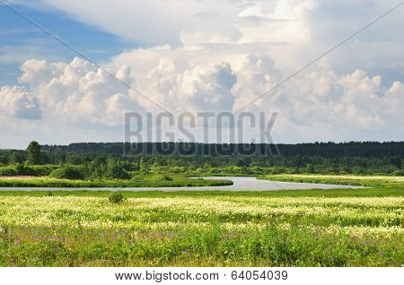Summer Landscape