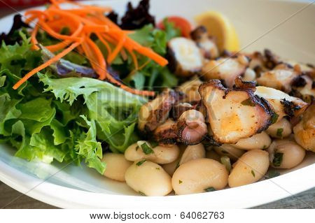 Grilled Octopus