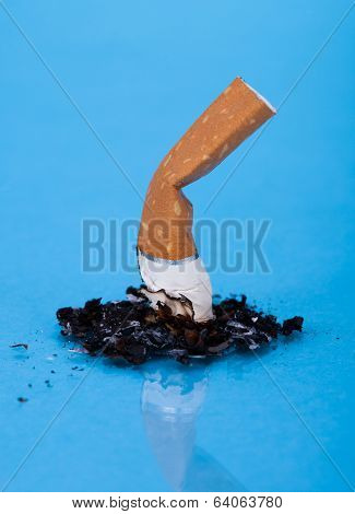 Cigarette Butt
