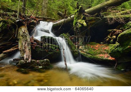cascade in the forest