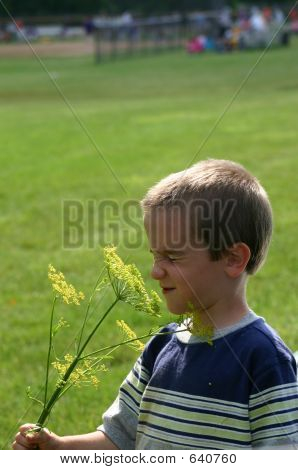 少年
