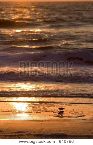 อาหารเช้าบนชายหาด