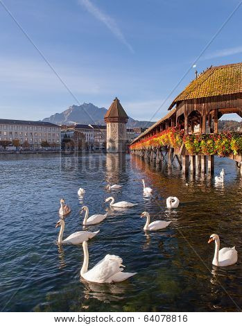 Lucerne, Early Morning