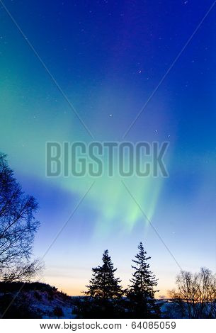 Aurora Dawn