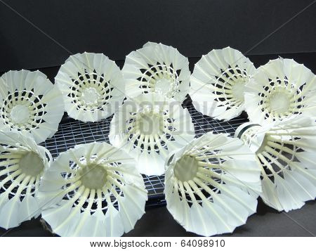 shuttlecocks on a badminton racket