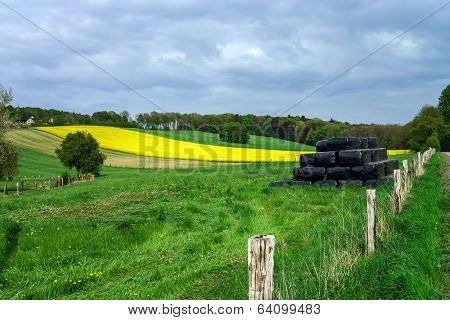 Colorful Field Landscape
