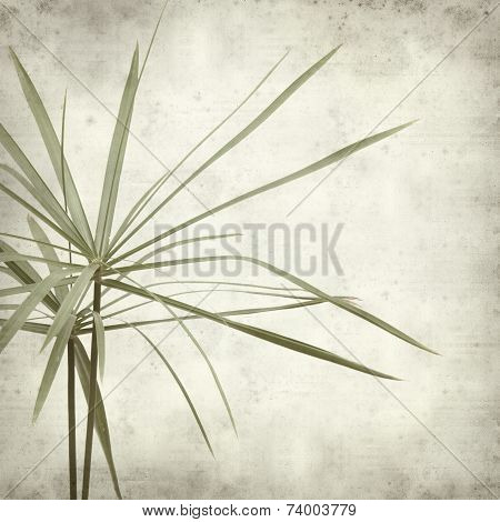 Textured Old Paper Background