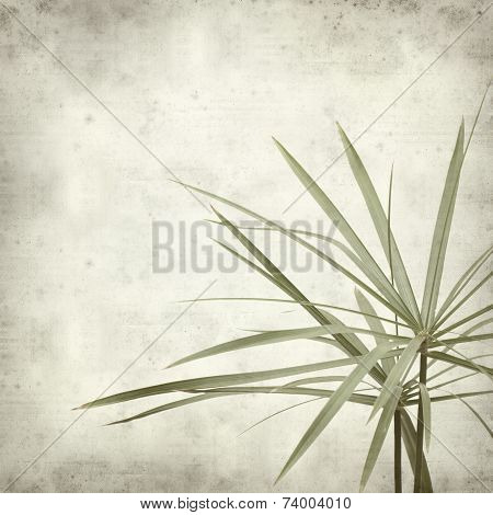 Textured Old Paper Background