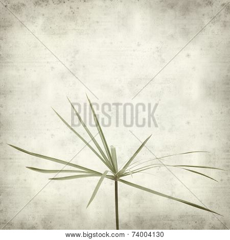 Textured Old Paper Background