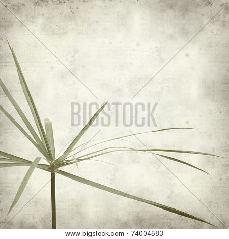 Textured Old Paper Background