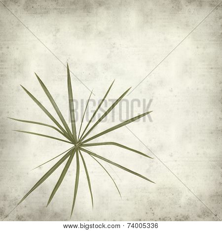 Textured Old Paper Background
