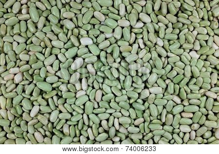 Green Flageolet Beans Background