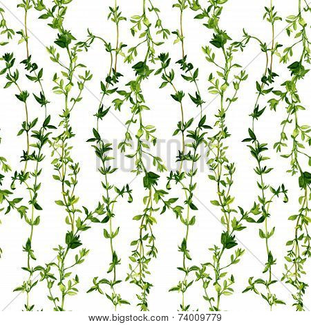 seamless pattern with branches of thyme